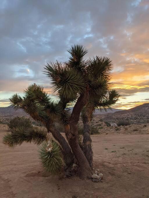 Pioneertown Chasing The Moon: Expansive Tub Views Near Pappy'S 빌라 외부 사진